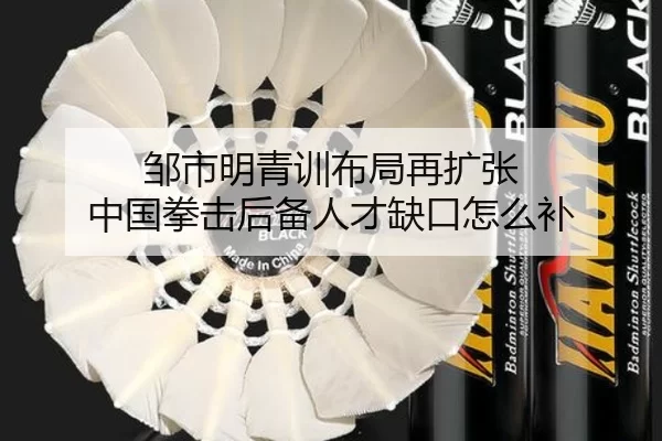 邹市明青训布局再扩张 中国拳击后备人才缺口怎么补